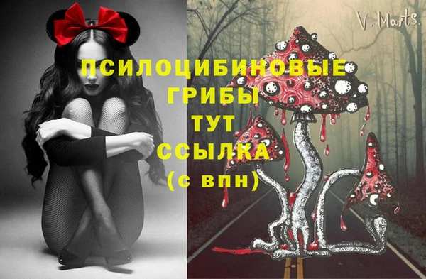 кокс Абаза