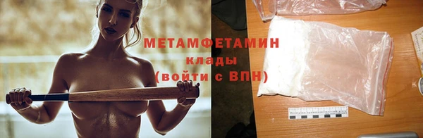прущие грибы Коряжма