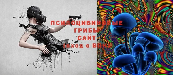 кокс Абаза