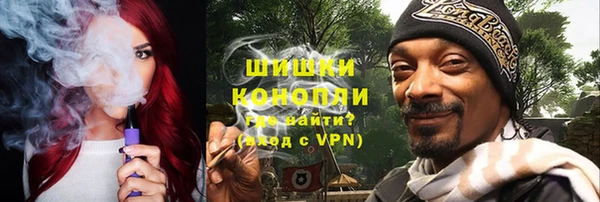 прущие грибы Коряжма